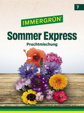 IMMERGRÜN Tütensamen Sommer Express Prachtmischung