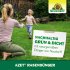Bild vergrößern
