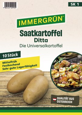 IMMERGRÜN Saatkartoffel Ditta 10 Stk.