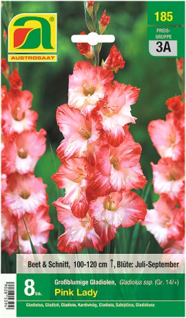 Gladiolen Pink Lady