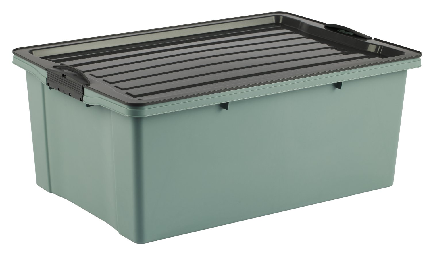 ROTHO Stapelbox Compact mit Rollen Misteltoe Grün A3, 38 l