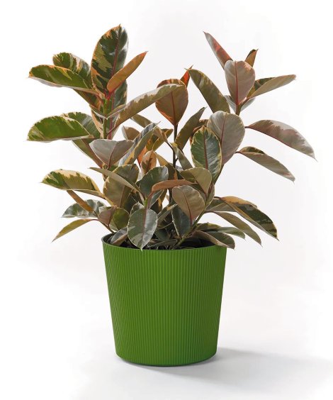 Übertopf Fyre mit Rollen Oliv ⌀ 40 cm