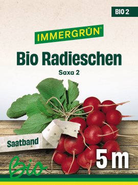 IMMERGRÜN Tütensamen Bio Radieschen SAXA 2