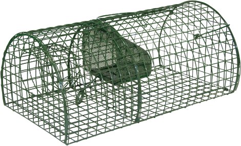 Ratten-Massenfänger Alive MultiRat