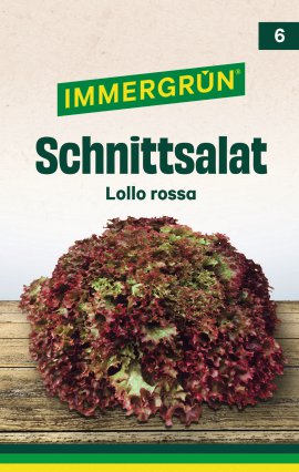 IMMERGRÜN Tütensamen Schnittsalat Lollo rossa