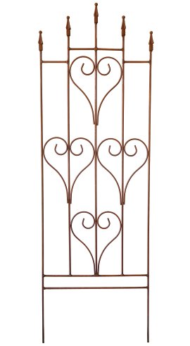 Rankhilfe Paris 144x46 cm