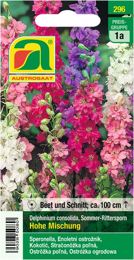 Delphinium Rittersporn