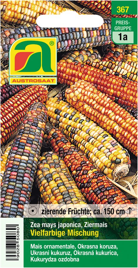 Ziermais Zea mays japonica
