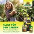 Bild vergrößern