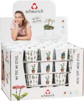 SCHEURICH Übertopf Serie 870 Cactus Garden