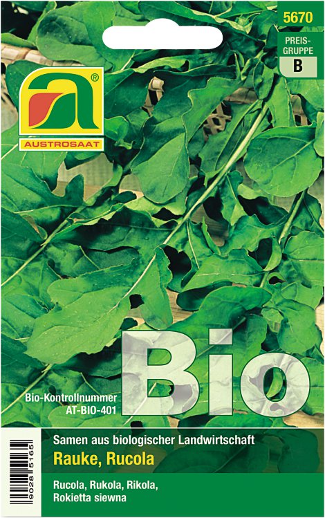 Rucola Eruca sativa