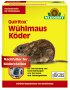Bild vergrößern