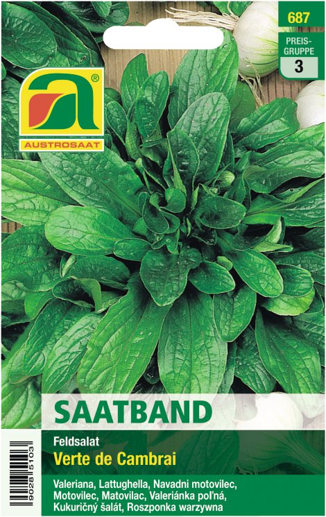 Feldsalat Verte de Cambrai - Saatband