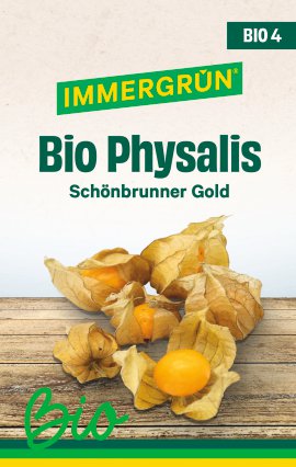 IMMERGRÜN Bio Physalis Schönbrunner Gold