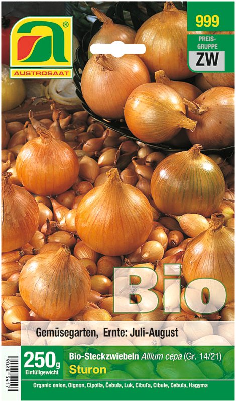 Bio-Steckzwiebel