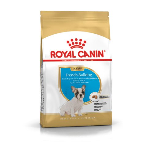 ROYAL CANIN Hundetrockenfutter French Bulldog Junior 3 kg