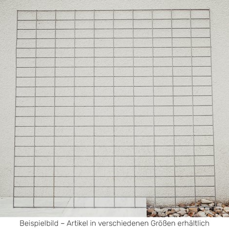 Gabionen-Gittermatte 100x25cm MW5x10cm