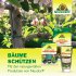 Bild vergrößern