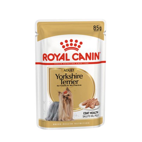 ROYAL CANIN Hundenassfutter BHN Yorkshire Terrier Adult 12x85 g