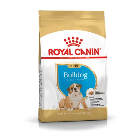 ROYAL CANIN Hundetrockenfutter Bulldog Junior 3 kg