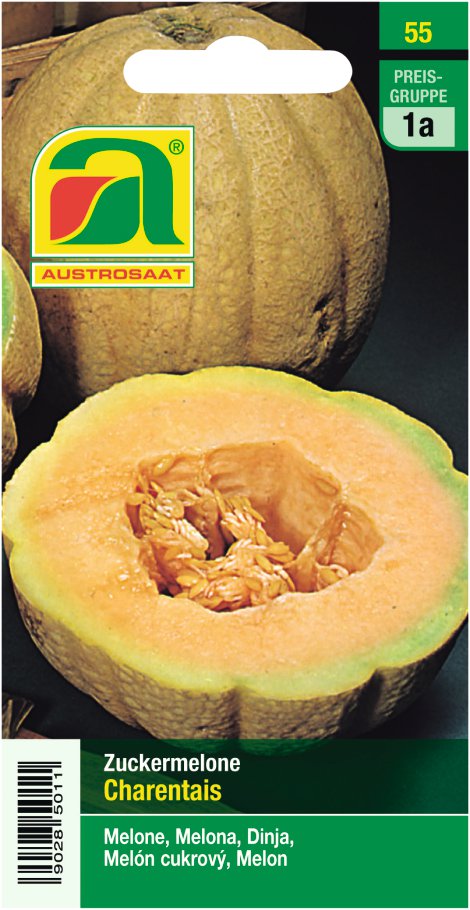 Zuckermelonen Charentais