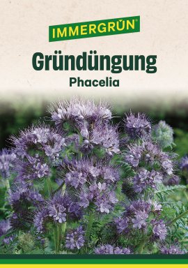 IMMERGRÜN Tütensamen Phacelia 90 g