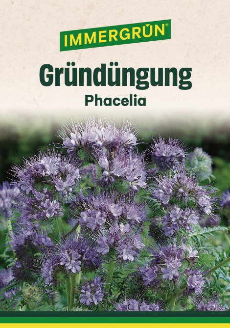 IMMERGRÜN Tütensamen Phacelia 90 g