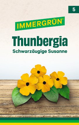 IMMERGRÜN Tütensamen Thunbergia Schwarzäugige Susanne