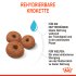 Bild vergrößern