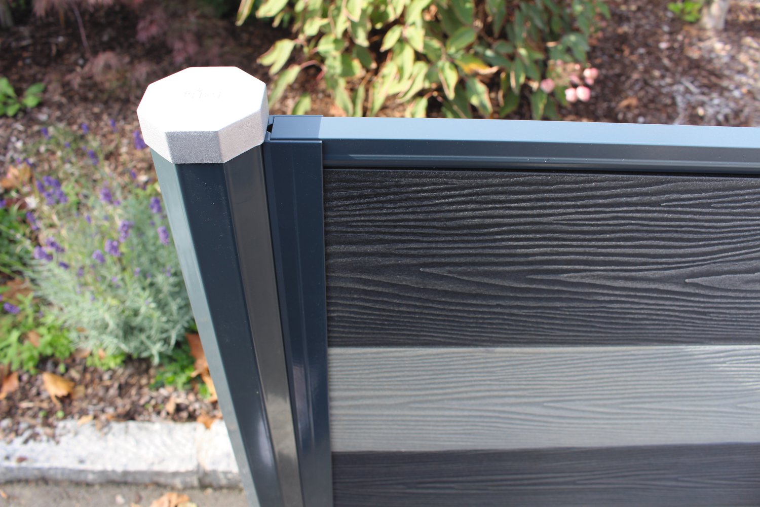 H+S Abdeckleiste GL für Sichtschutzprofil RAL7016 Anthrazit 1800 mm