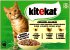 KITEKAT Katzen-Nassfutter Frischbeutel Geflügel Allerlei 12er-Pack je 85 g