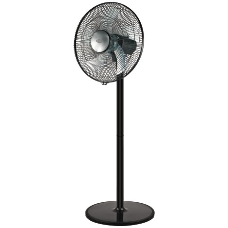 BE COOL Stand- & Tischventilator Schwarz 40 cm