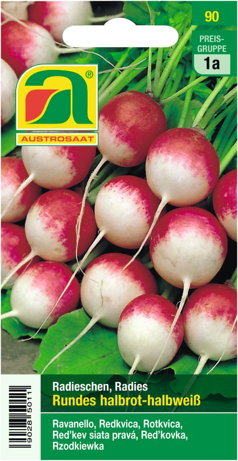 Radieschen Rundes halbrot-halbweiß