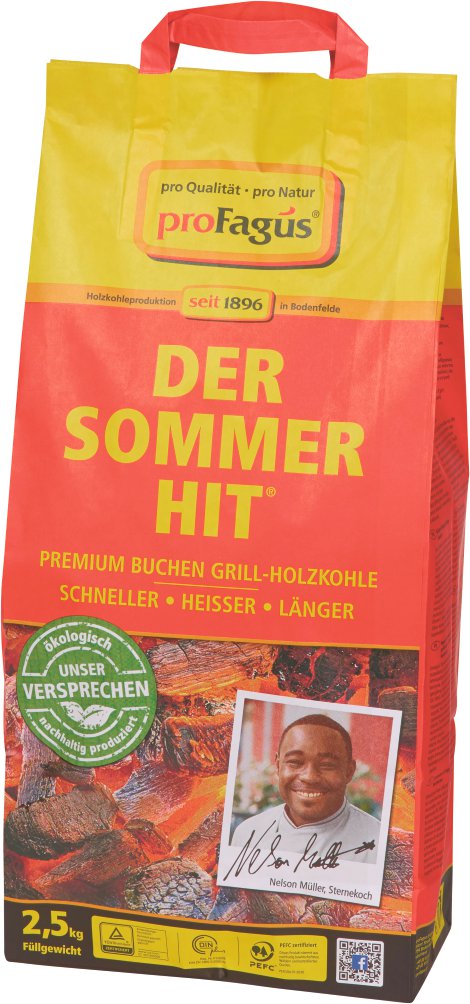 Grillkohle Sommer-Hit 2,5 kg