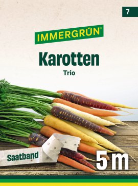 IMMERGRÜN Tütensamen Saatband Karotte Trio (Nantes 2, Purple Sun F1, Yellowstone)