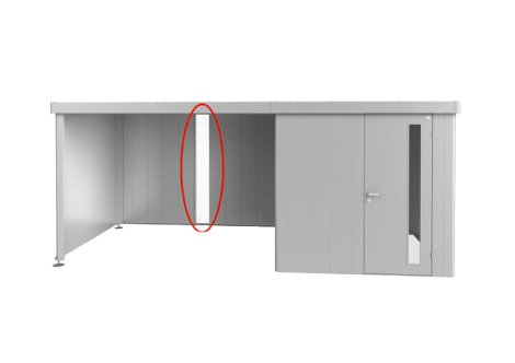 BIOHORT Lichtpaneel für Seitendach Gerätehaus Neo 2A-4D, 31,8x 4,2x200 cm, Silber-Metallic