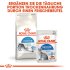 Bild vergrößern