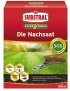 Bild vergrößern
