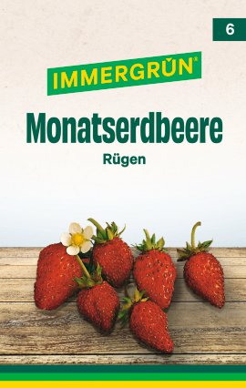 IMMERGRÜN Tütensamen Monatserdbeere Rügen