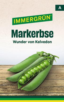 IMMERGRÜN Tütensamen Erbse Wunder von Kelvedon
