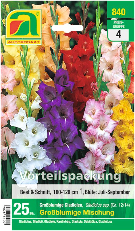 Gladiolen Prachtmischung