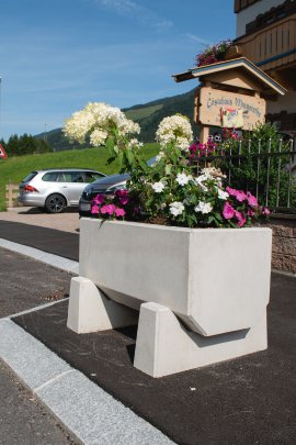 EBENSEER Pflanzentrog Grau 100x50x45 cm (LxBxH)