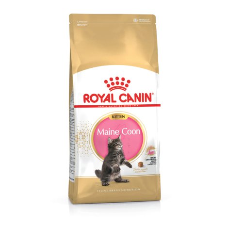 ROYAL CANIN Katzentrockenfutter Kitten Maine Coon 4 kg