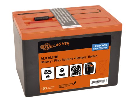 GALLAGHER Batterie Alkaline 9 V