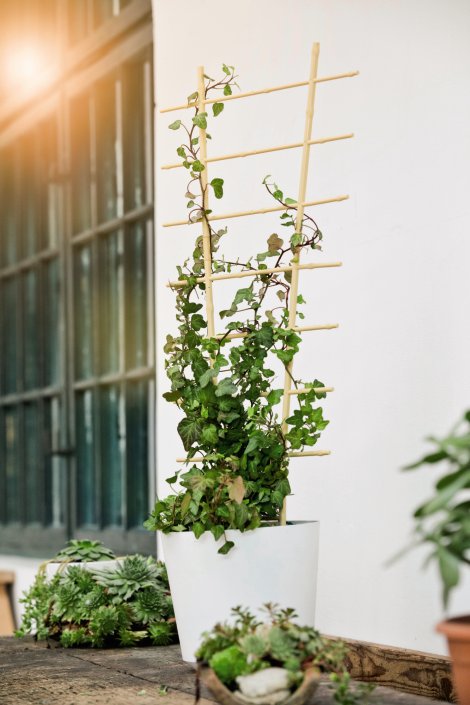 WINDHAGER Blumenstütze Bambus 150x40 cm