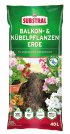 Bild vergrößern