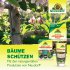Bild vergrößern