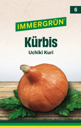 IMMERGRÜN Tütensamen Kürbis Uchiki Kuri