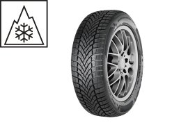 PKW-Winterreifen Falken HS02