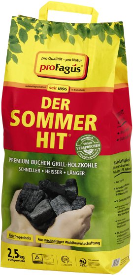 Grillkohle Sommer-Hit 2,5 kg